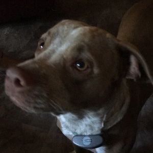 Meet your Posher, Michele